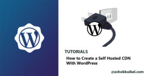 How to Create a Self Hosted CDN With WordPress
